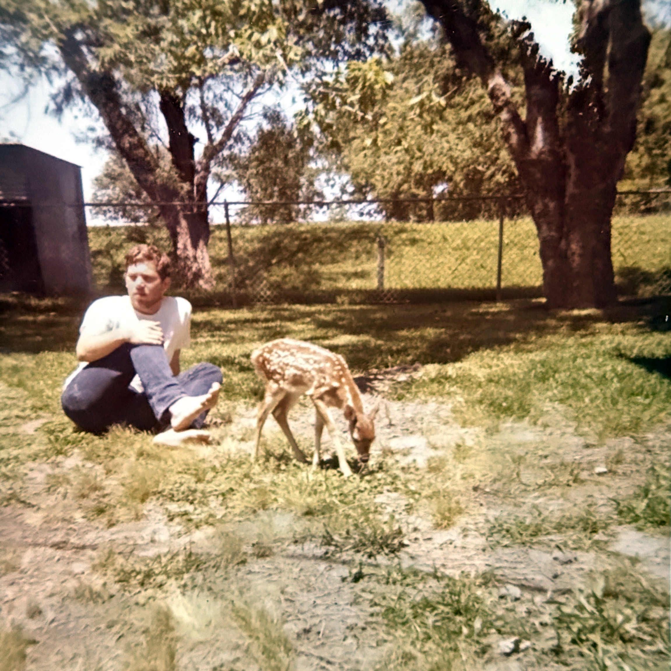 michael-pet-doe